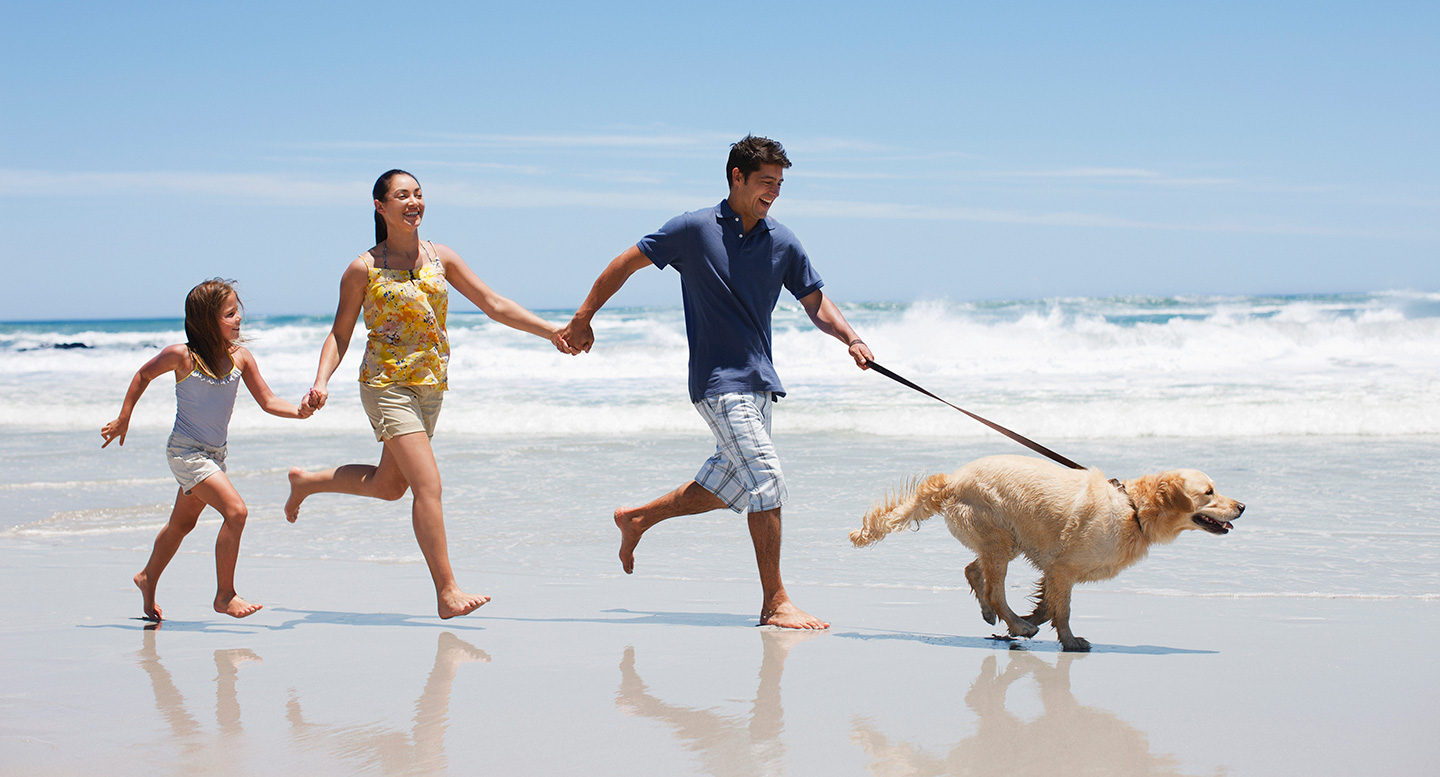 Can I have a pet if I have asthma or COPD?