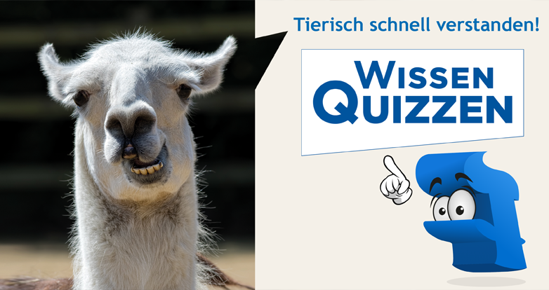 Fit für die Patientenschulung durch Praxiswissen im Quizformat