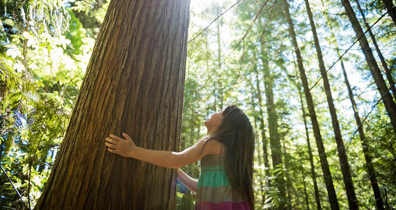 L'impact du changement climatique sur l'asthme