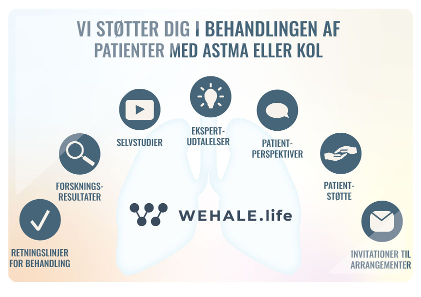 dk_infografik.jpg