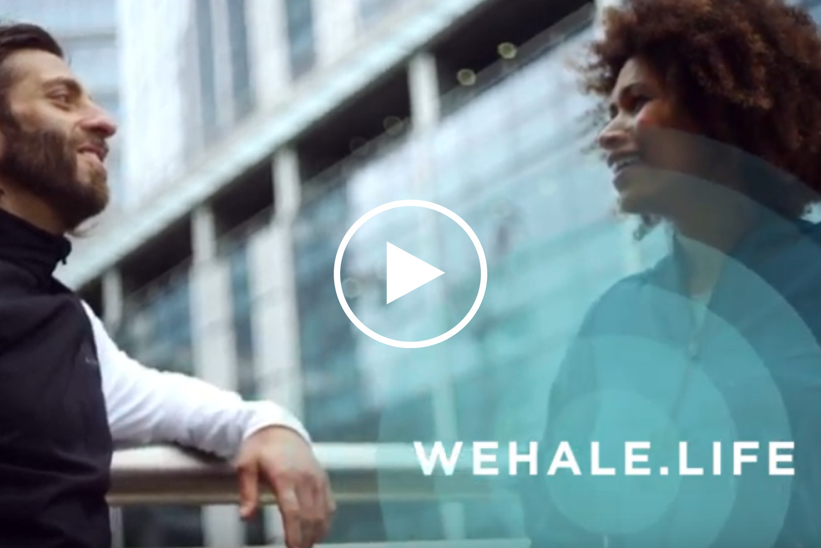 Video: co je wehale.life?