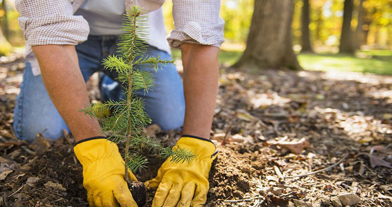 Why Aiming For Carbon Neutral Care Matters